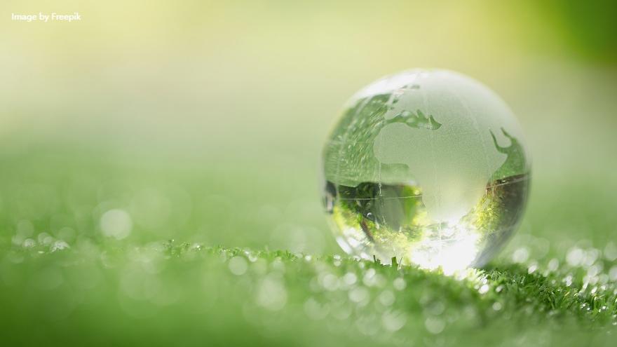 Environmental Taxation and Environmental Penalties