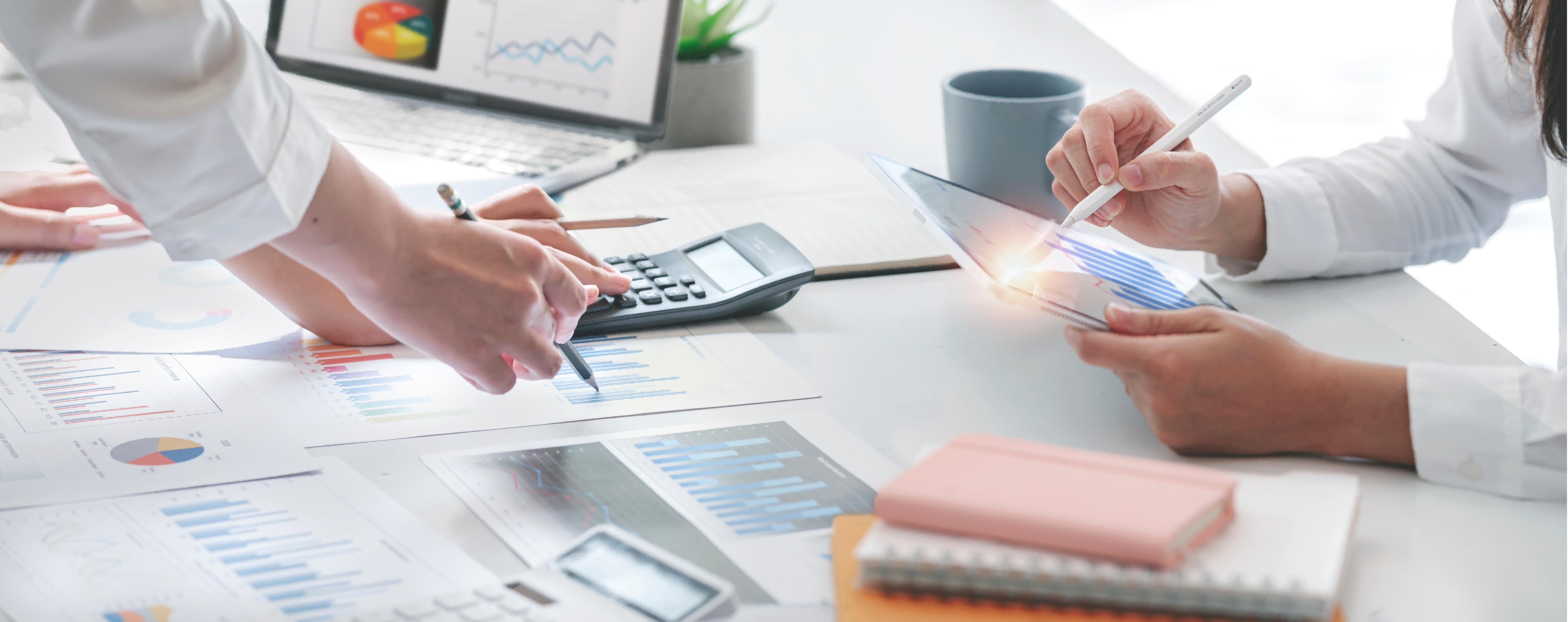 Tax Advisory and Representation - Tax Consulting and Training